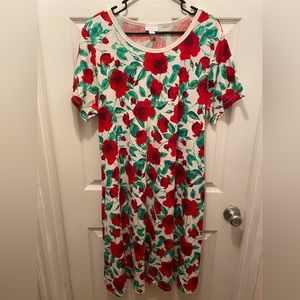 LulaRoe Jessie Dress with Pockets